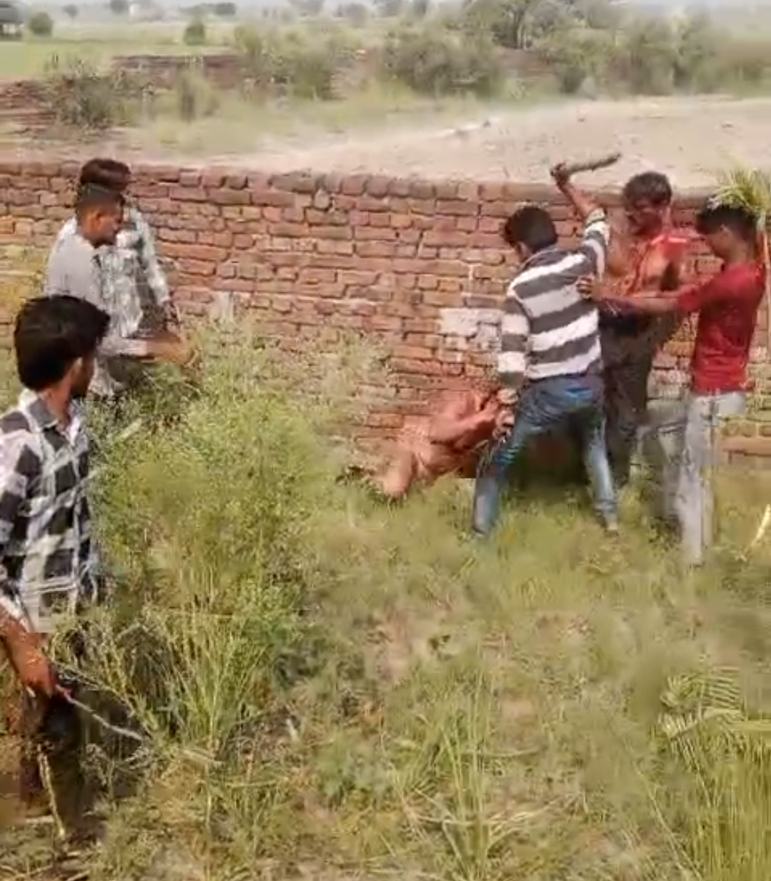 अलीगढ़-गोमांस ले जा रही गाड़ी को बजरंगदल के लोगों ने पकड़ा,गोमांस ले जा रहे लोगों की जमकर धुनाई
